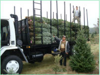 Our 20 ft Delivery Truck. Can deliver up to 300 trees.